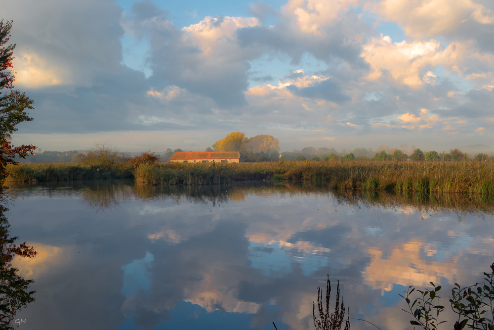 Sonnenaufgang am Teich