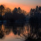 Sonnenaufgang am Teich