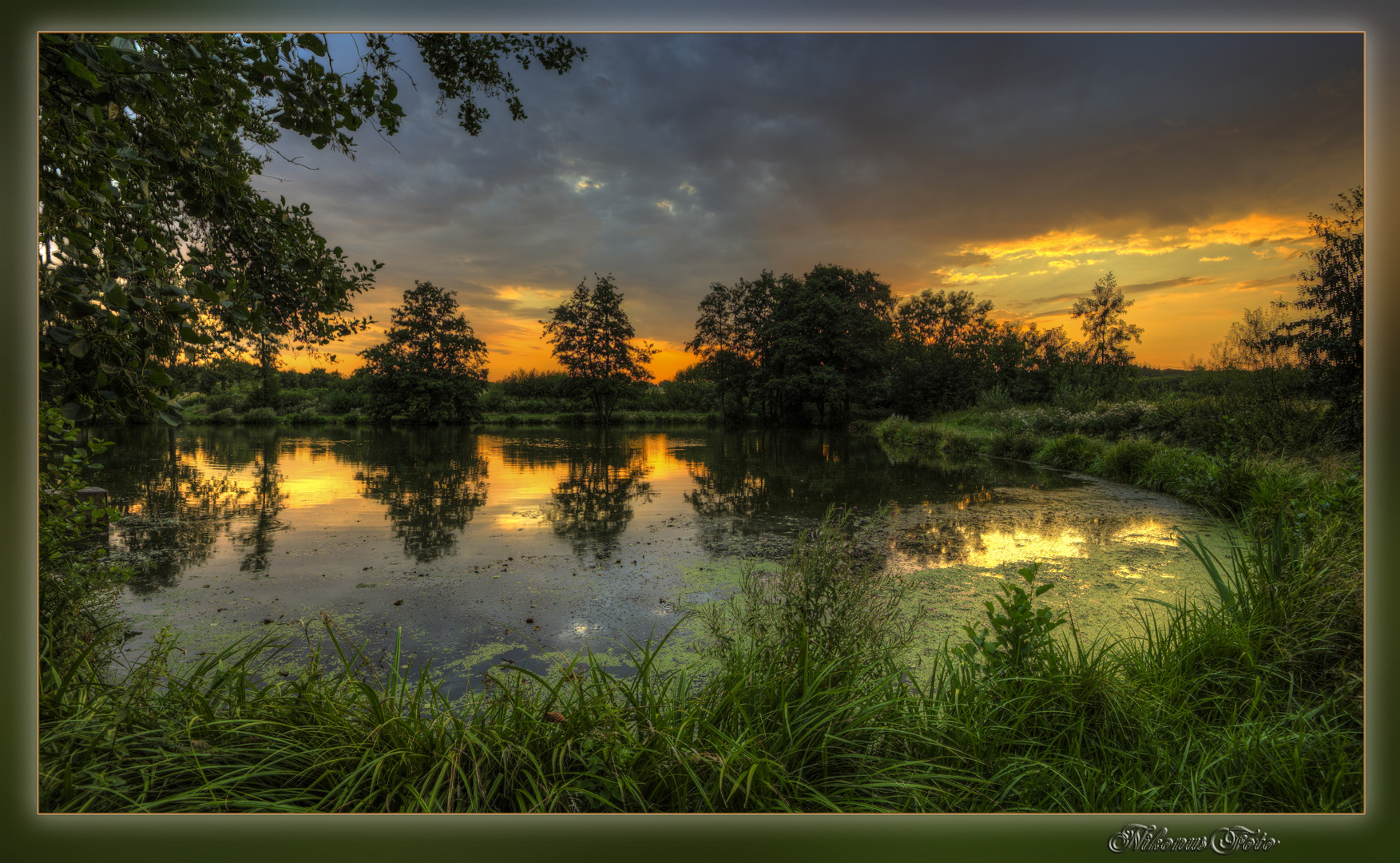 Sonnenaufgang am Teich