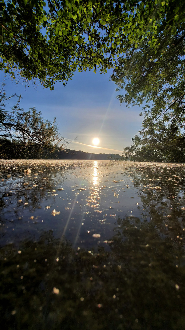 Sonnenaufgang am Teich