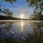 Sonnenaufgang am Teich