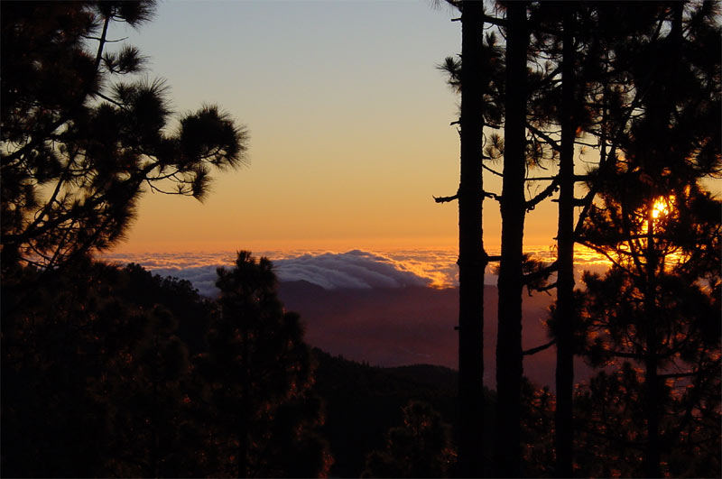Sonnenaufgang am Teide