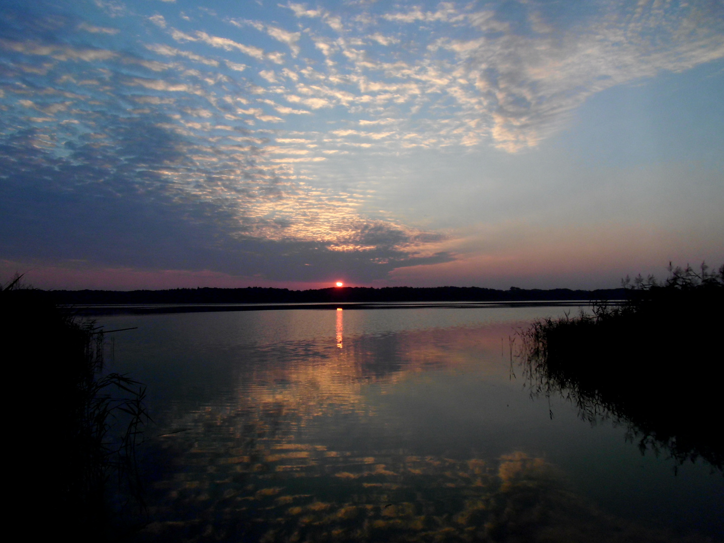 Sonnenaufgang am Torgelower See