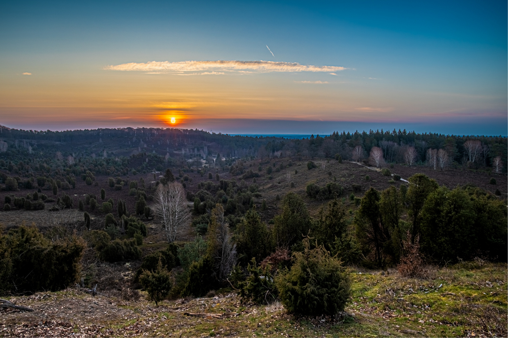 Sonnenaufgang am Totengrund -Wilsede Lüneburger Heide