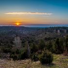 Sonnenaufgang am Totengrund -Wilsede Lüneburger Heide