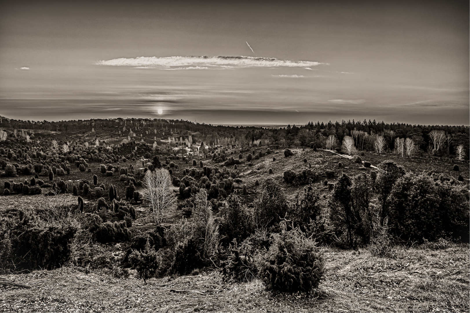 Sonnenaufgang am Totengrund -Wilsede Lüneburger Heide