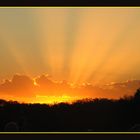 Sonnenaufgang am Uluru 2