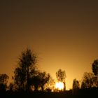 Sonnenaufgang am Uluru