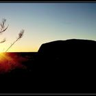 Sonnenaufgang am Uluru