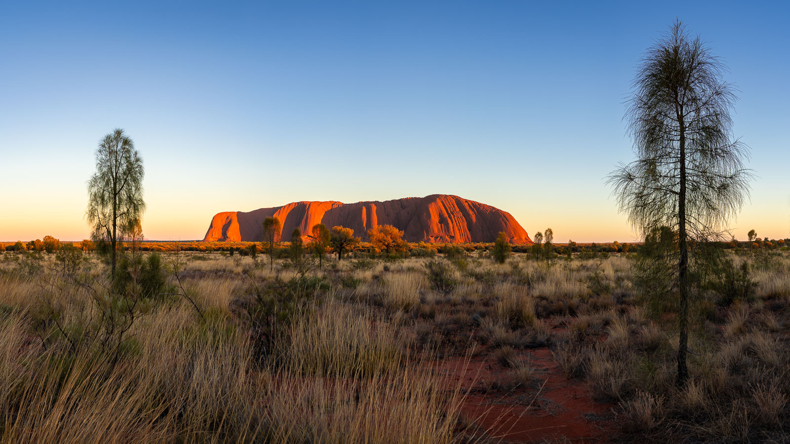 Sonnenaufgang am Uluru (Ayers Rock)