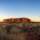 Sonnenaufgang am Uluru (Ayers Rock)