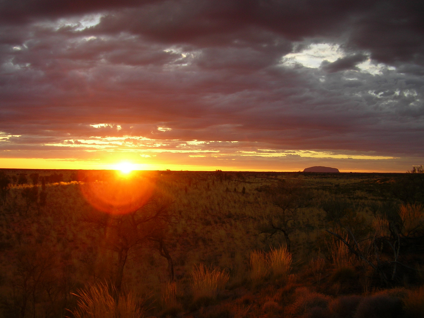 Sonnenaufgang am Uluru