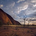 Sonnenaufgang am Uluru