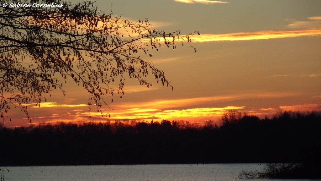 Sonnenaufgang am Unterbacher See -Düsseldorf