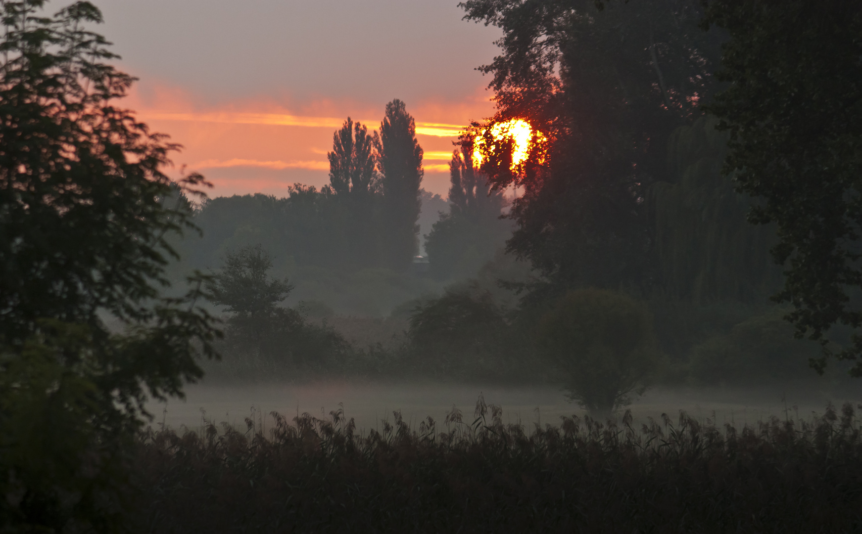 Sonnenaufgang am Untersee 2