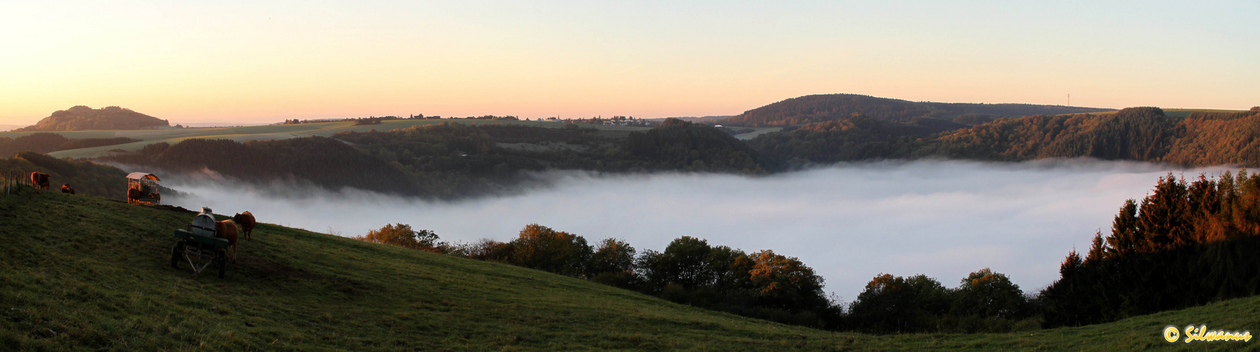 Sonnenaufgang am Vulkankrater von Meerfeld ( Vulkaneifel )