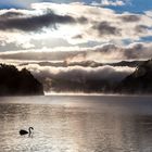 Sonnenaufgang am Waikaremoana See in Neuseeland