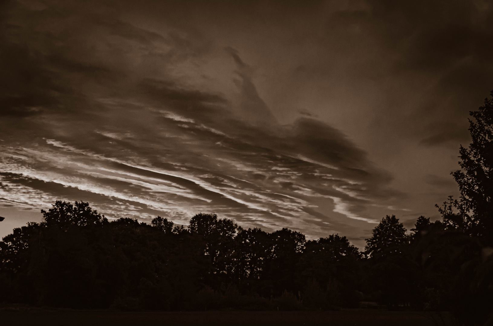 Sonnenaufgang am Waldrand