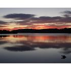 Sonnenaufgang am Waldschacher See