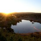 Sonnenaufgang am Wasserloch...