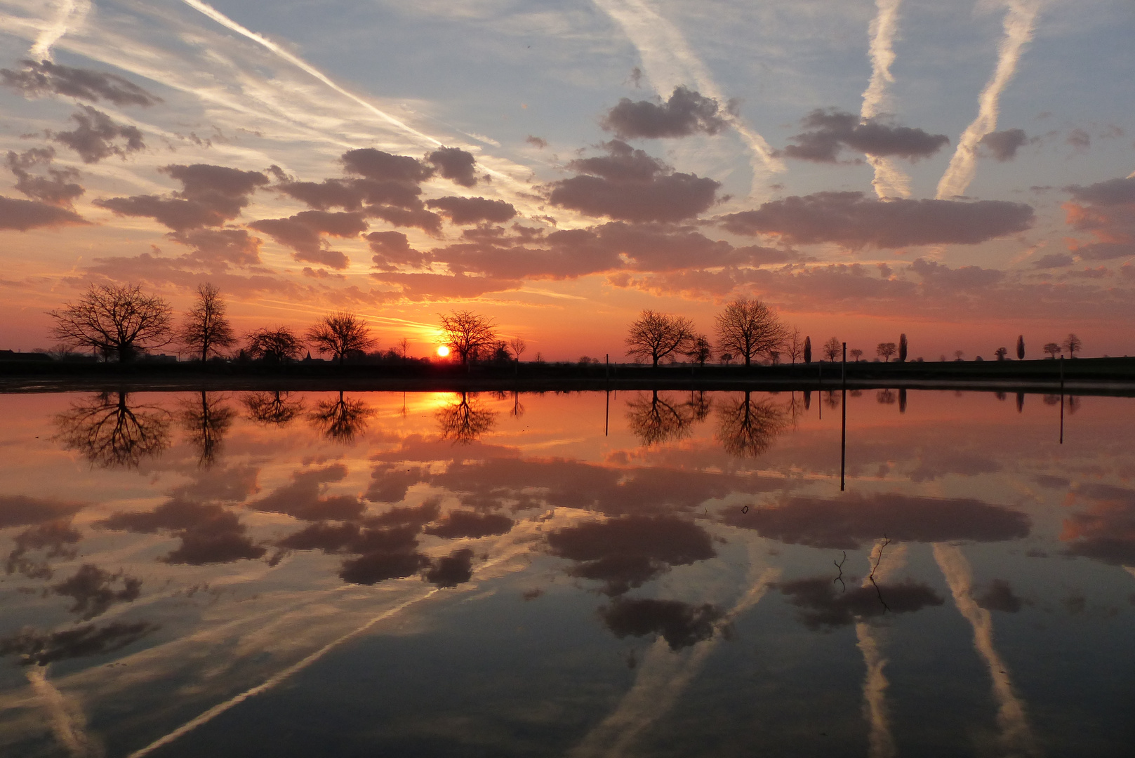 Sonnenaufgang am Weiher.