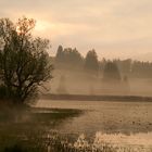 Sonnenaufgang am Weiher