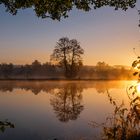 Sonnenaufgang am Weiher