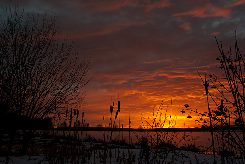 Sonnenaufgang am Weiher