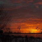 Sonnenaufgang am Weiher