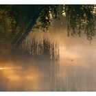 Sonnenaufgang am Weiher