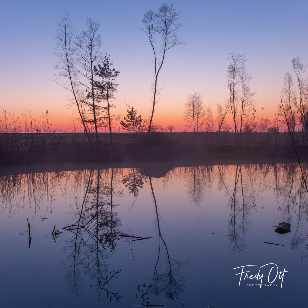 Sonnenaufgang am Weiher