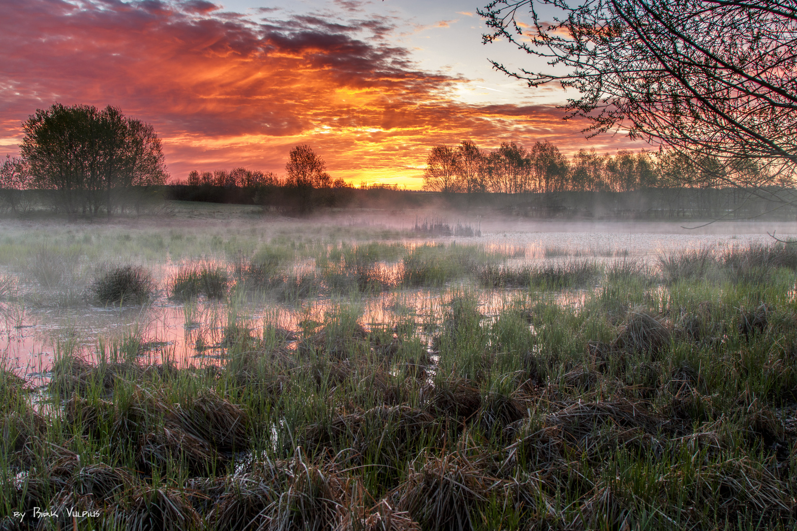 Sonnenaufgang am Weiher