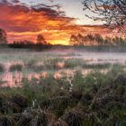 Sonnenaufgang am Weiher