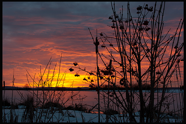 Sonnenaufgang am Weiher2