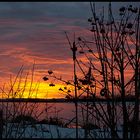 Sonnenaufgang am Weiher2