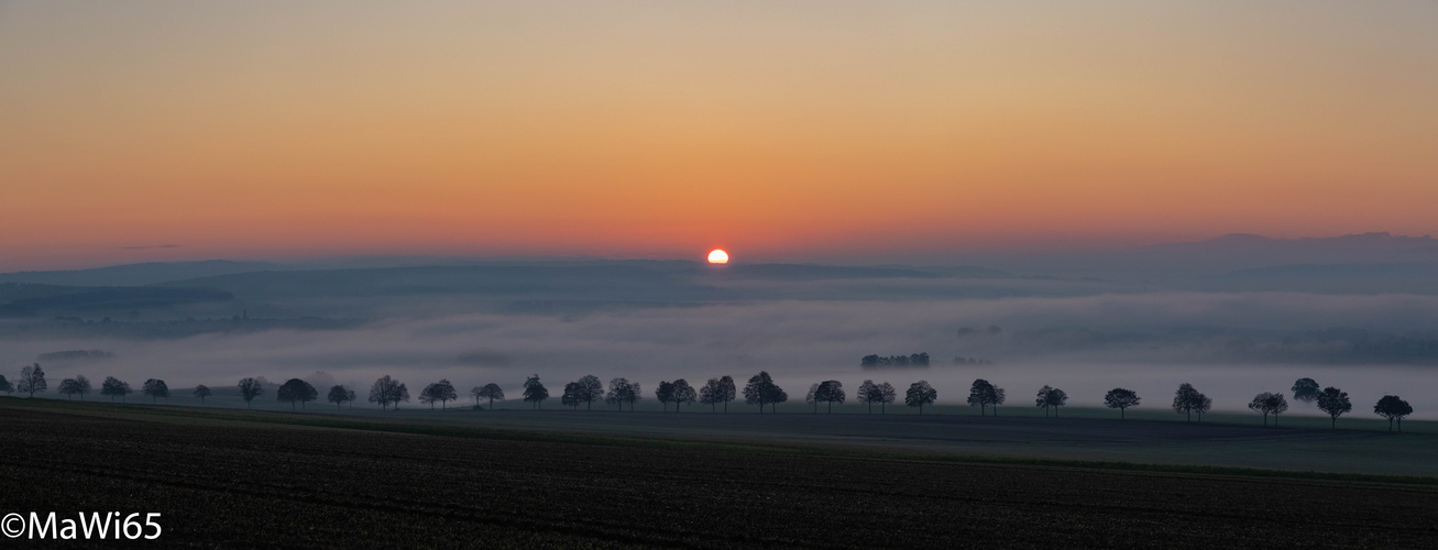 Sonnenaufgang am Weinberg