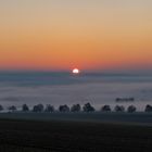 Sonnenaufgang am Weinberg