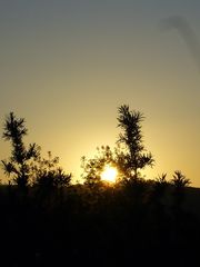 Sonnenaufgang am Werratalsee