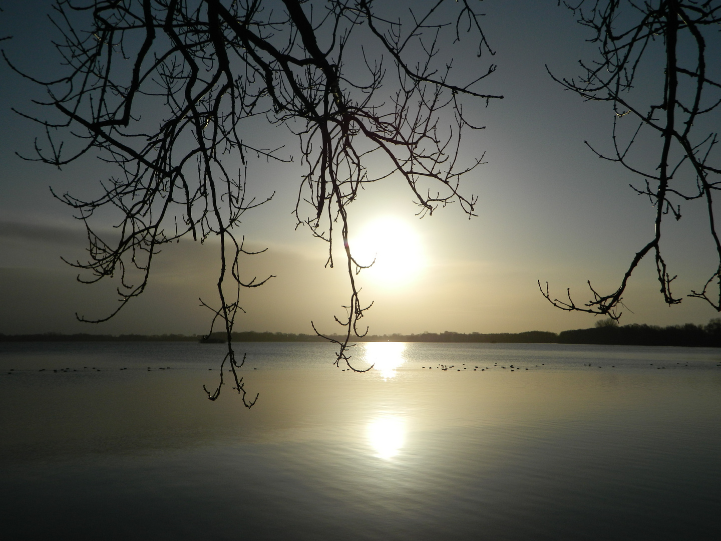 Sonnenaufgang am Westensee