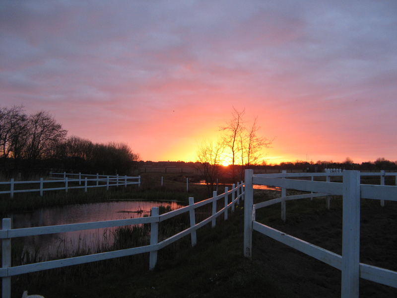 Sonnenaufgang am Wiesengrund in Tinnum