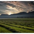 Sonnenaufgang am Wilden Kaiser