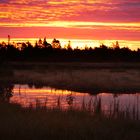 Sonnenaufgang am Wildsee