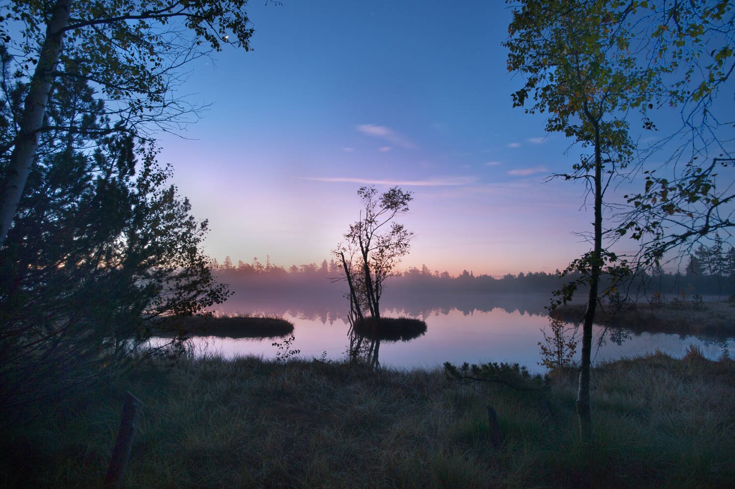 Sonnenaufgang am Wildsee