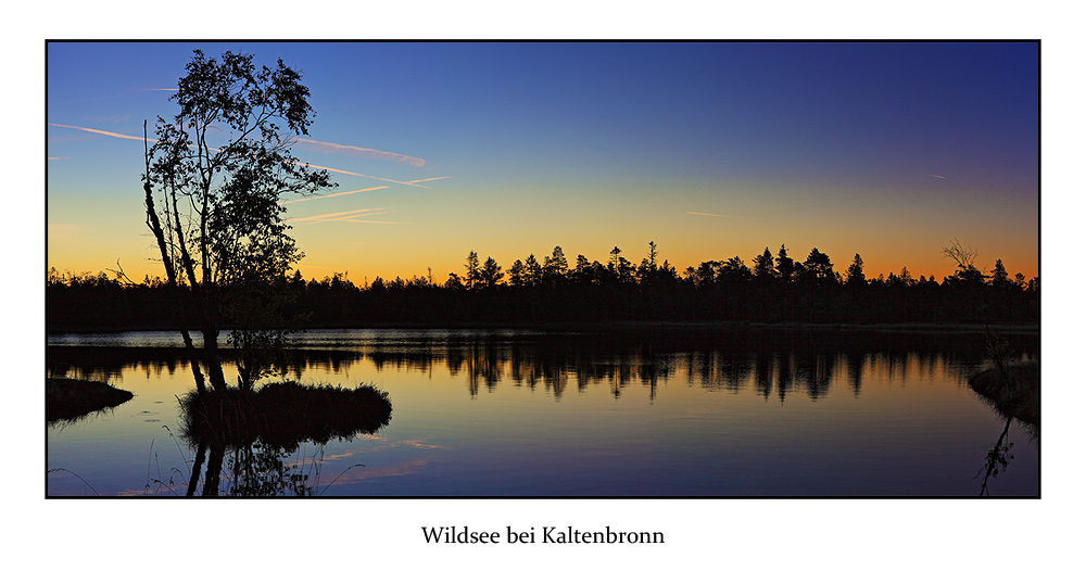 Sonnenaufgang am Wildsee bei Kaltenbronn