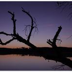 Sonnenaufgang am Wörthsee