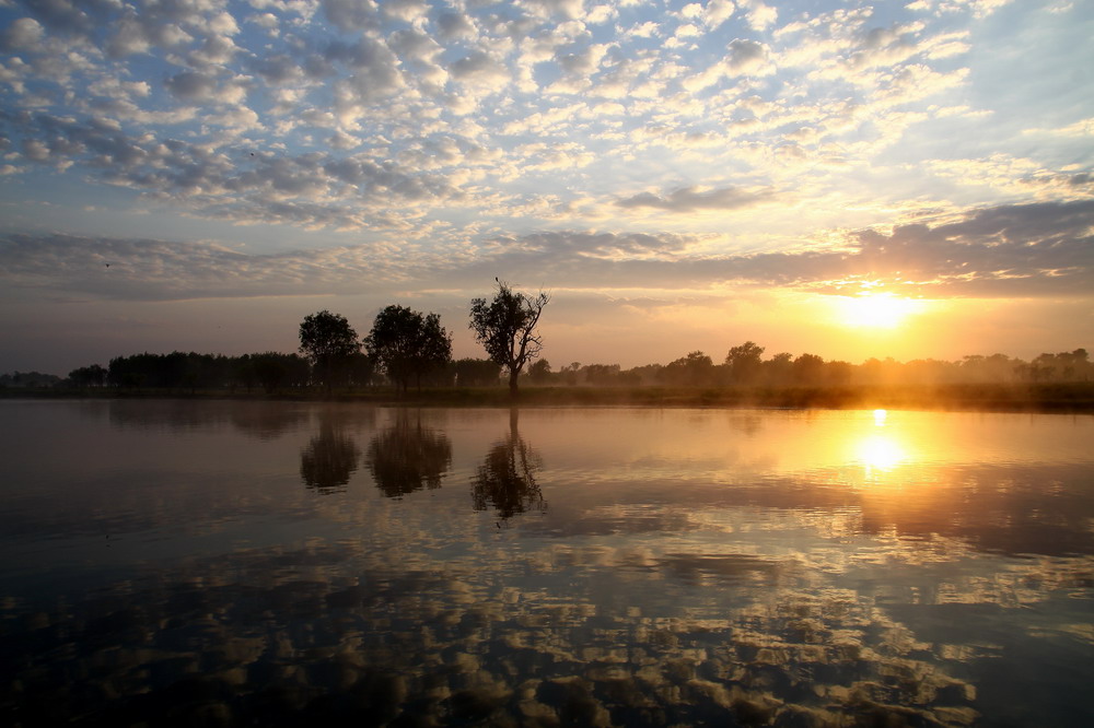 Sonnenaufgang am Yellow Waters Billabong