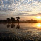 Sonnenaufgang am Yellow Waters Billabong