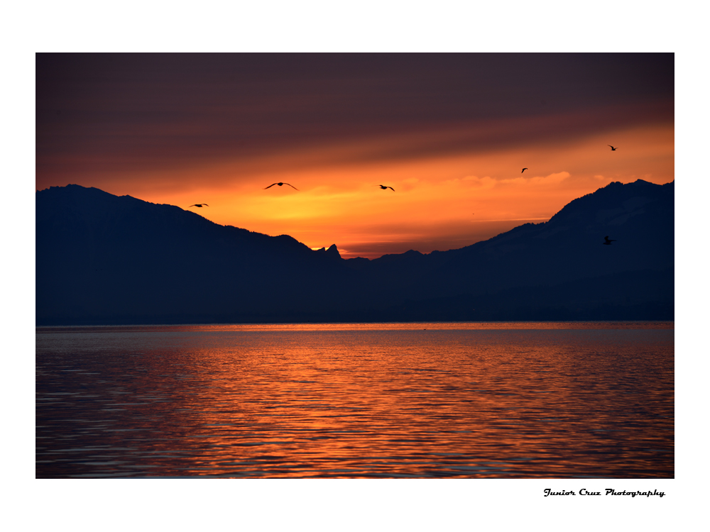 Sonnenaufgang am Zürichsee