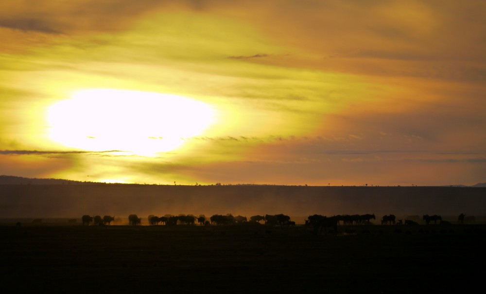 Sonnenaufgang Amboseli Kenia 2009