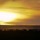 Sonnenaufgang Amboseli Kenia 2009